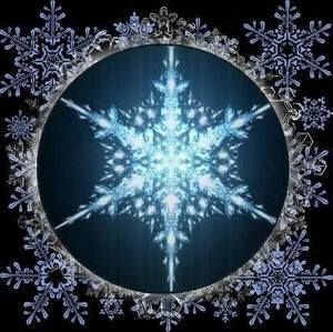 Meet your Posher, Roberta